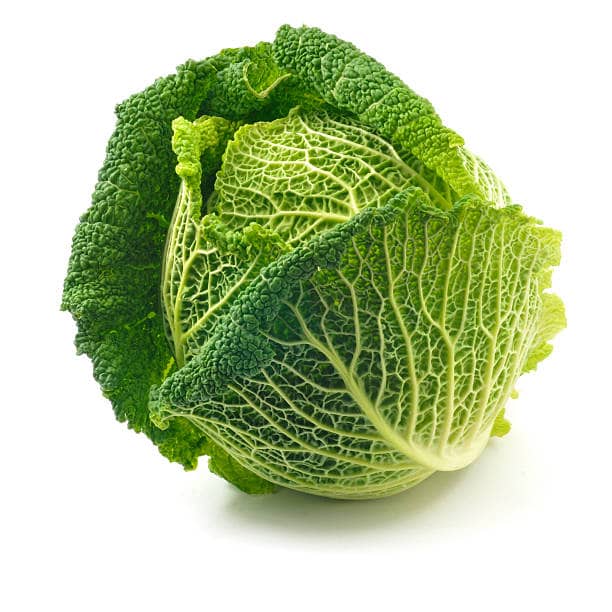خرید کلم برگ درجه یک + قیمت فروش استثنایی